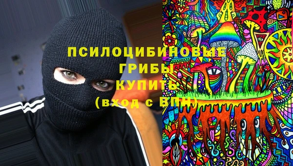 Альфа ПВП Абаза