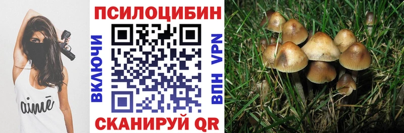 наркота Ленинградская это официальный сайт Псилоцибиновые грибы Psilocybe