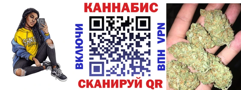 Канабис сатива  Ленинградская 